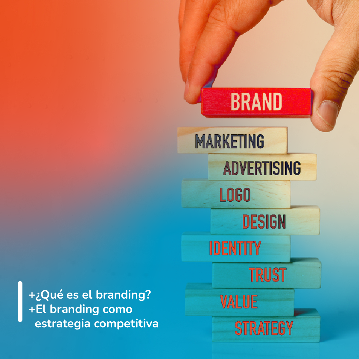 ¡Bienvenido al fascinante mundo del branding!